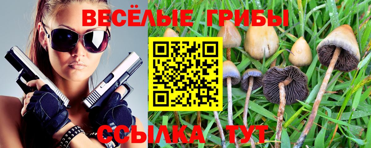 Псилоцибиновые грибы Cubensis Ржев
