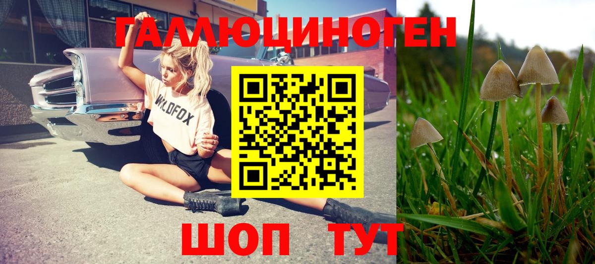 Галлюциногенные грибы Cubensis  купить наркотик  Ржев  Вход с VPN  Галлюциногенные грибы Magic Shrooms 